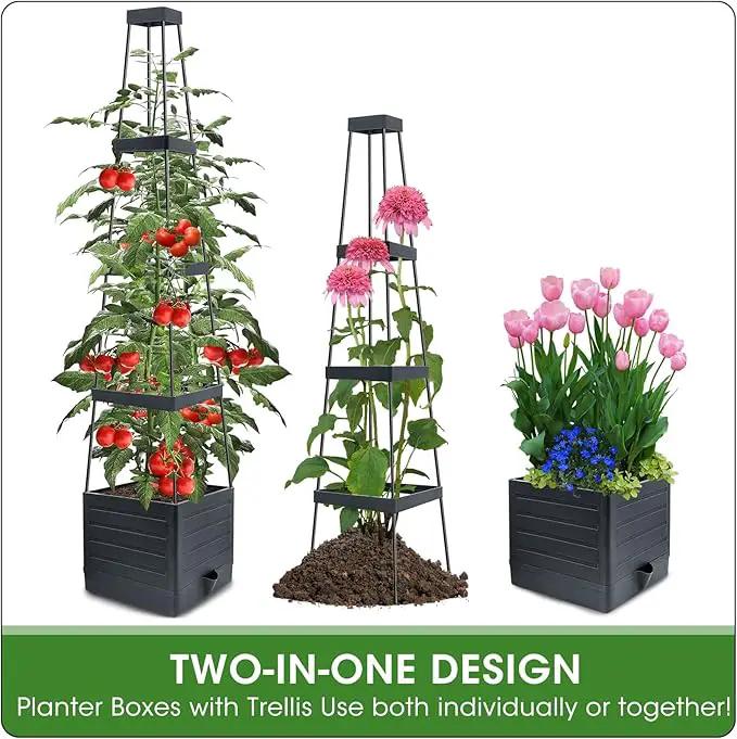 MQFORU 2 Packs Raised Garden Bed Tomato Planter with Trellis, 57" Tomato Cages for Climbing Vegetables Plant, Self Watering Planters Box for Garden Pots for Patio Greenhouse Indoor Outdoor（2PCS） by GreenHaven Gardens