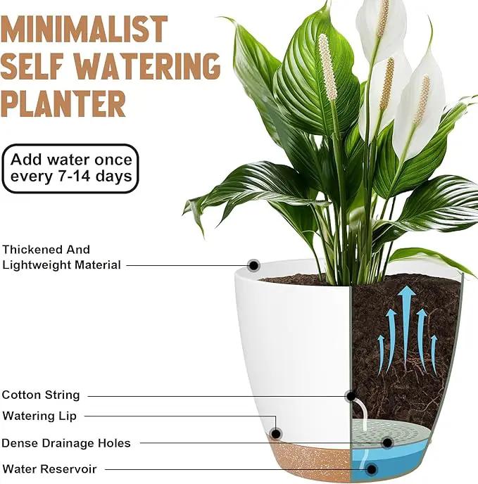 Plant Pots 8/7/6.5/6/5.5/5 Inch Self Watering Pots, Set of 6 Plastic Planters with Drainage Holes and Saucers,Plastic Flower Pots,Nursery Planting Pot for Indoor Out Door Plants（White） by GreenHaven Gardens