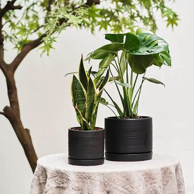 6 + 8 Inch Plant Pots, Ceramic Planter Pot with Drainage Hole & Saucer, Indoor/Outdoor Cylinder Round Planter Pot, Matte Black