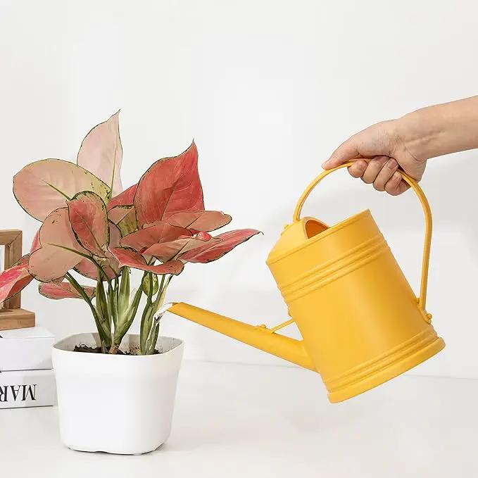 Plastic Indoor Watering Can with Detachable Sprinkler Head - 68oz (1/2 Gallon) for House Plants and Flowers by GreenHaven Gardens
