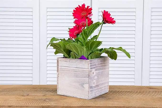 Wooden Planter Box, Rustic Whitewash with Plastic Liner l Garden Decor l Restaurant and Wedding Decorations l Wedding Bouquets, Table Centerpiece (5x5 Set of 4, Whitewash) by GreenHaven Gardens