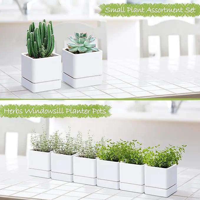 4 Inch Herb Planter Pot, Plastic Planter with Drainage Holes and Saucer, Modern Decorative Gardening Pot for Indoor Plants, Flowers, Herbs, Succulents, White, Set of 6, 76-Y-A-6 by GreenHaven Gardens