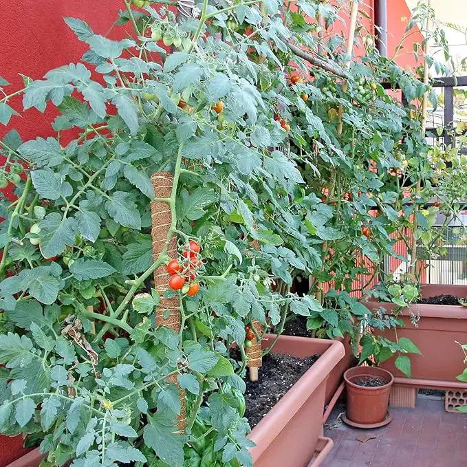EAONE Moss Pole 96 Inch, 6 Pack 16" Monstera Plant Support for Climbing Potted Live Plants Indoor, Stackable Coco Coir Moss Sticks Monstera Stakes for Pothos Philodendron, with Garden Labels & Ties by GreenHaven Gardens