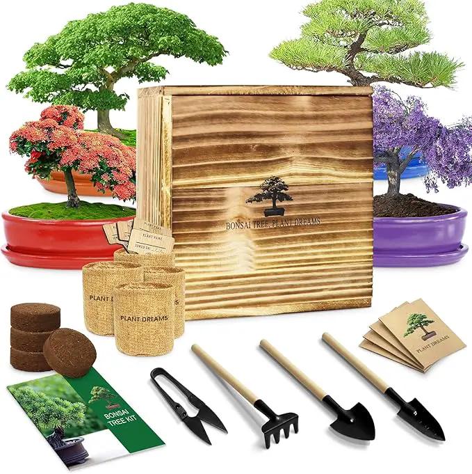 Bonsai Tree Kit, Wooden Gift Box Indoor Bonsai Tree Starter Kit with Tools & Japanese Plants Seeds, Growing DIY Gardening for Plant Lovers (Plant Lover Gift) by GreenHaven Gardens