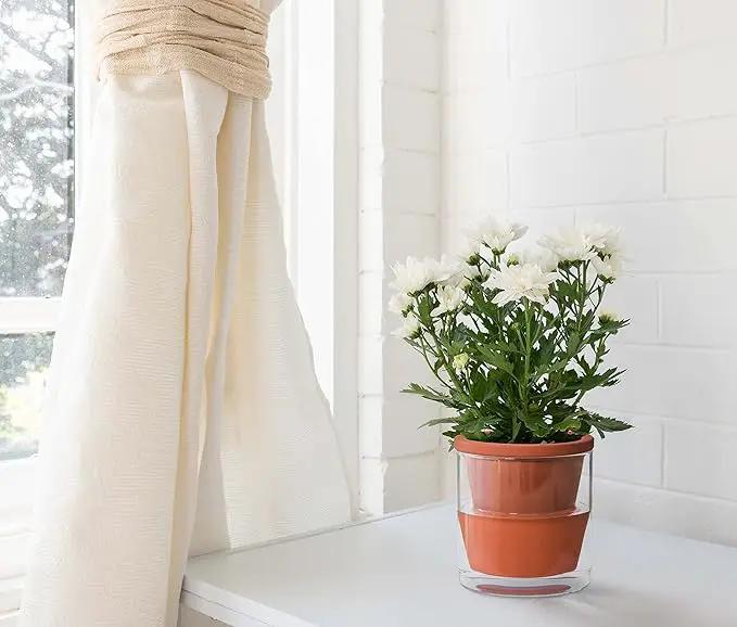 D'vine Dev 4 Inch Design Self Watering Pot for Indoor Plants, Terracotta Planter with Cylinder Glass Cup, Set of 4, 37-Z-A-1-F by GreenHaven Gardens
