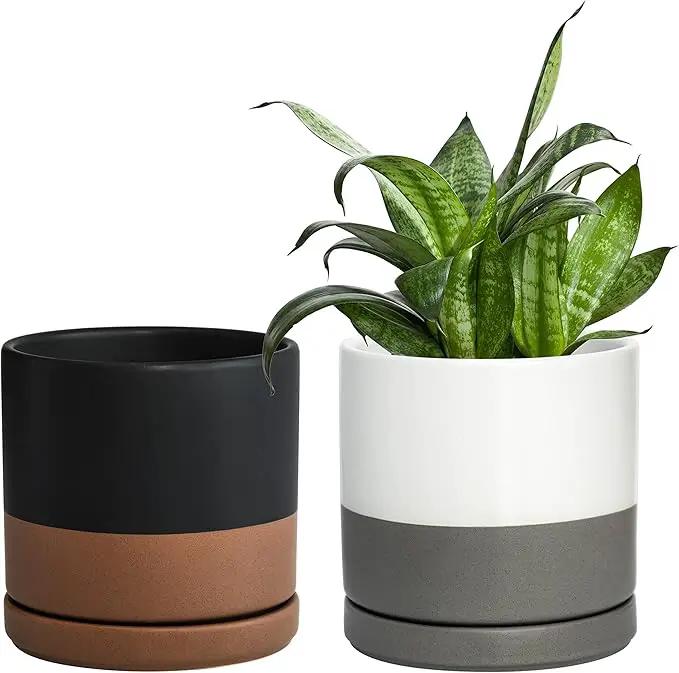 D'vine Dev Set of 2 Plants Pots, 6 Inch Ceramic Planter Pot for Plants with Drainage Hole and Saucer, White-Grey/Black-Tan, 94-V-C-C by GreenHaven Gardens