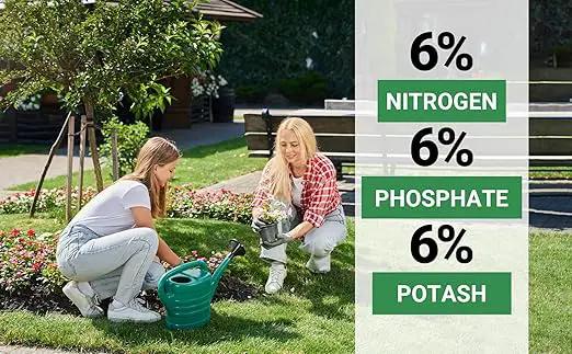6-6-6 All-Purpose Professional Plant Food Fertilizer; Ideal for Winter Care & Spring Feeding, Perfect Balanced NPK for Indoor and Outdoor Plants (4 QUARTS) by GreenHaven Gardens