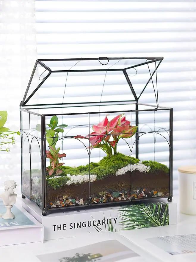 Handmade Glass Planter Terrarium with Lid, Indoor Tabletop Centerpiece Display Box Modern Decor DIY Gift Plant Terrarium Container for Succulent Cacti Air Plants Flower (Black) by GreenHaven Gardens