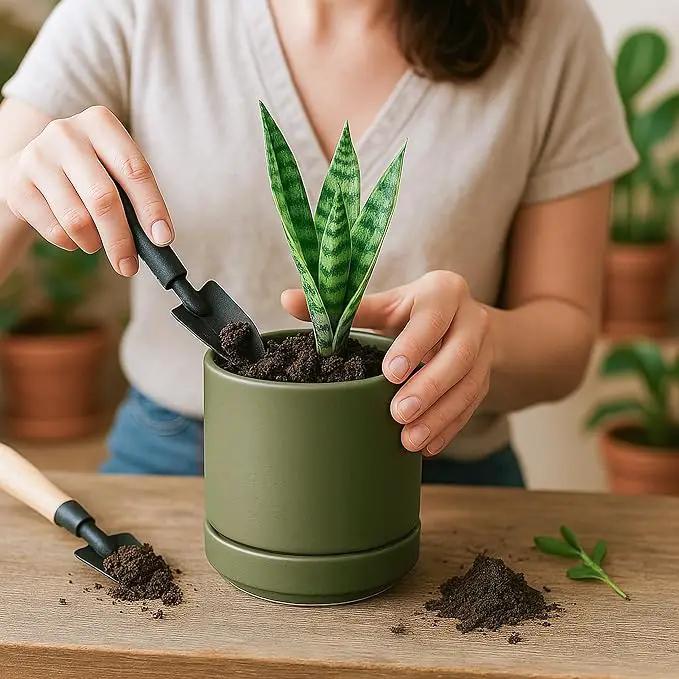 D'vine Dev Set of 2 Plants Pots, 4.7 Inch Ceramic Planter Pot for Plants with Drainage Hole and Saucer, Olive, 94-V-B-J by GreenHaven Gardens