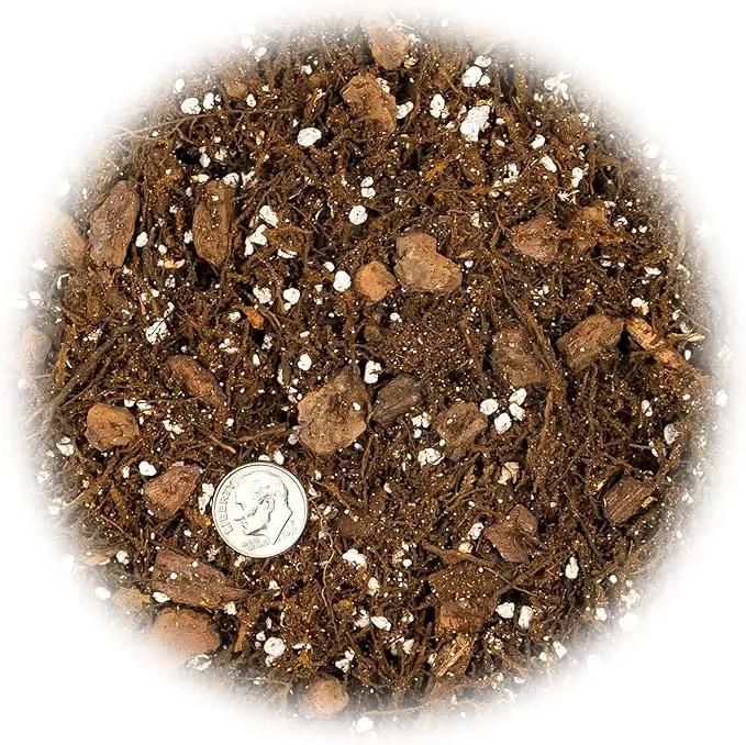 Premium Gardenera House Plant Potting Mix | Fern + New Zealand Bark + Perlite | Great for Pothos, Spider Plants, Montsera, Philodendron, English Ivy - 1 Quart Bag by GreenHaven Gardens