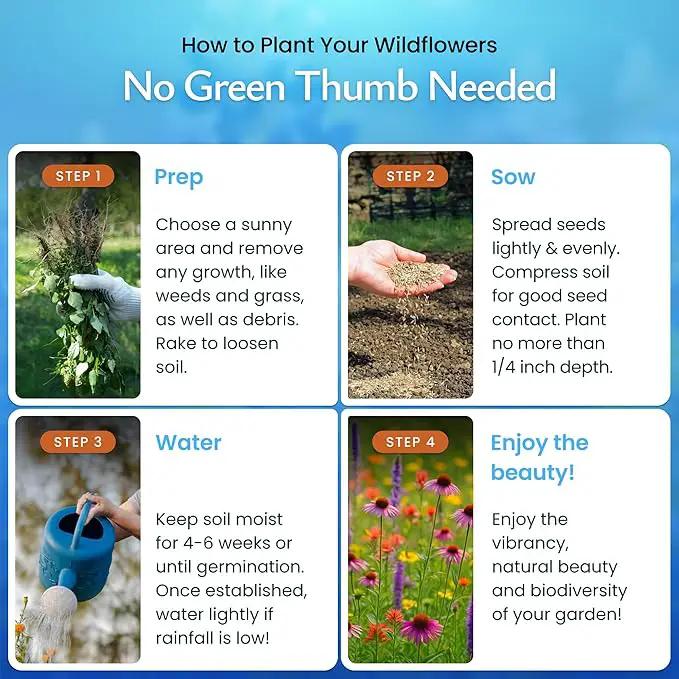 Created By Nature Bee & Butterfly Wildflower Seed Mix, 16 Varieties, 30,000 Seeds by GreenHaven Gardens