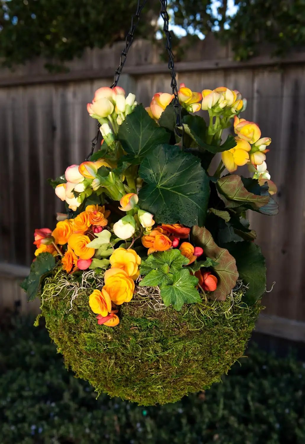 SuperMoss (29201) MossWeave Hanging Basket - Round, Fresh Green, Medium (14.5 Diameter)" by GreenHaven Gardens