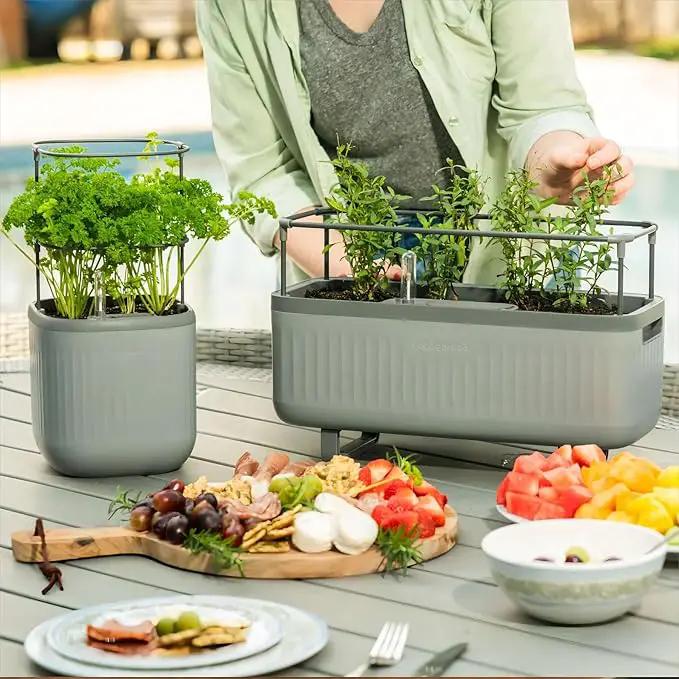 Vego Garden Herb Indoor Plant Box, Self Watering Planters Pots for Indoor Plants with Trellis for Kitchen Window Sill or Countertop Plants Cage - Fog Gray by GreenHaven Gardens
