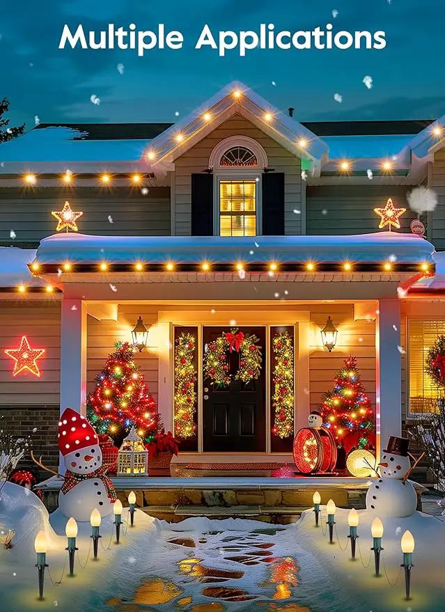 Brightown Frosted C9 LED Christmas Lights Outdoor, 32Ft Pathway Lights with 25 LED Bulbs, Warm White by GreenHaven Gardens