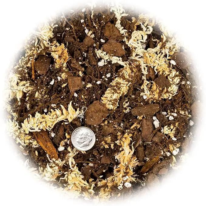Premium Orchid Mix by GARDENERA | Fern + New Zealand Pine Bark + Sphagnum Moss + Perlite | Best for Growing and Repotting Orchids - 1 Quart Bag by GreenHaven Gardens