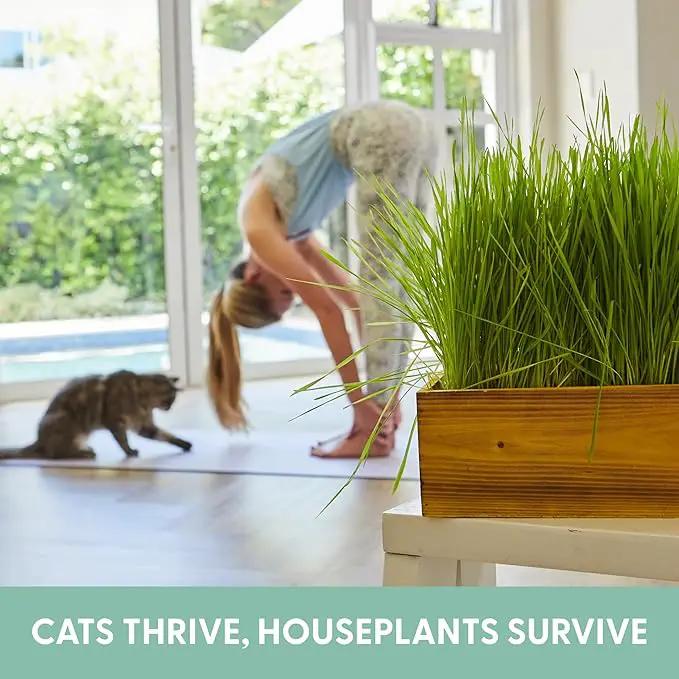 The Cat Ladies Cat Grass Kit (Organic) with Rustic Wood Planter, Seed and Soil. Easy to Grow for Indoor or Outdoor Cats, Dogs and Other Pets. Prevent Hairballs and Aid Digestion by GreenHaven Gardens