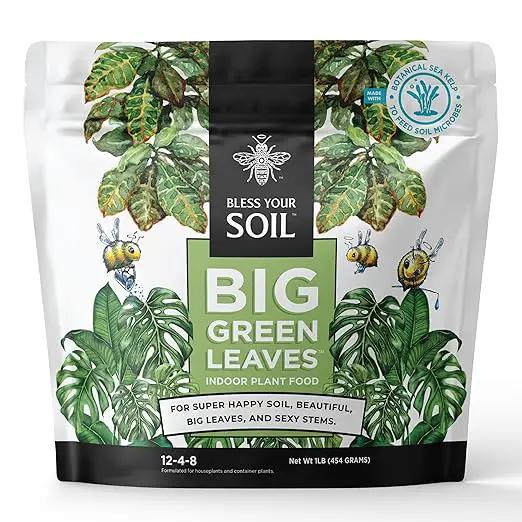 Big Green Leaves | Superfood Houseplant Fertilizer, Indoor Plants - Water Soluble Plant Food + Organic Kelp | 4X More Concentrated | 12-4-8 NPK (1LB) by GreenHaven Gardens