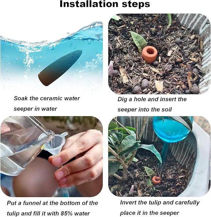 2 PC Glass Water Globes for Plants, Self-Watering Plant Device Plant Watering Globes Tulips Insert Spikes Drip Devices for Indoor & Outdoor Plants by GreenHaven Gardens