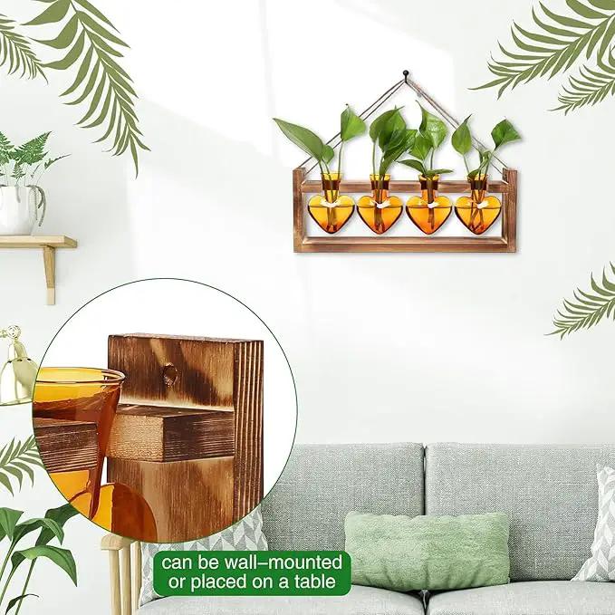 Plant Propagation Stations Heart Plant Terrarium Kit Gift for Women Plant Lover Glass Vases by GreenHaven Gardens