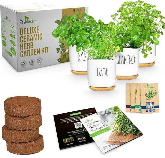 Deluxe Ceramic Indoor Herb Kit 4 Set. Variety Herbs for Indoor & Outdoor – Get Growing with Pots, Potting Soil for Window Herb Garden. (Ceramic Edition) by GreenHaven Gardens