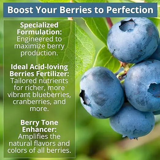 8-4-8 Acidic Fertilizer for Azaleas, Camellias (Camelia), Hydrangeas, Blueberries, Gardenias, Magnolia Trees, Evergreens, and Rhododendrons - Ideal Iron-Rich Plant Food (1 Quart) by GreenHaven Gardens