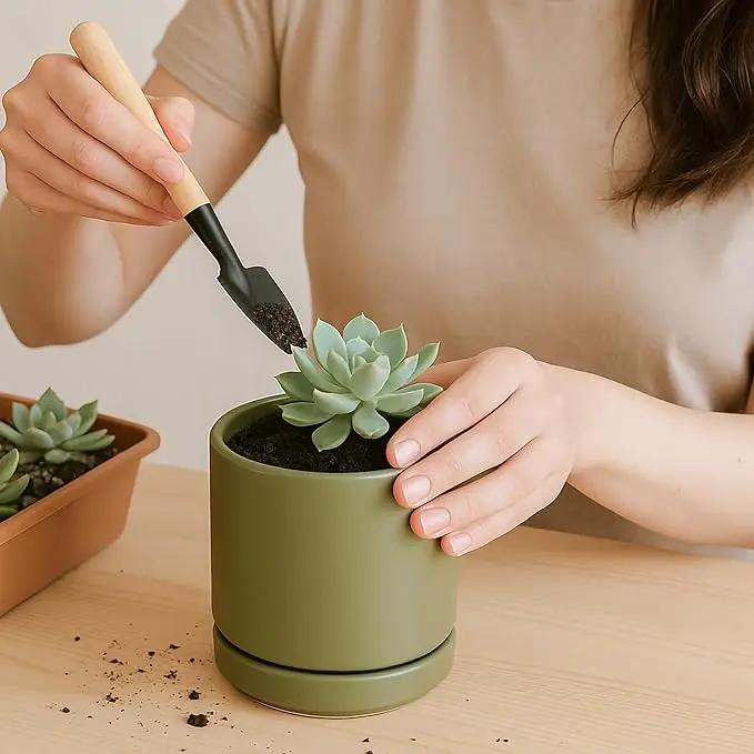 D'vine Dev 3.5 Inch Ceramic Planter Pot with Drainage Hole and Saucer, Indoor Cylinder Round Planter Pot, Olive, 94-O-A-J by GreenHaven Gardens