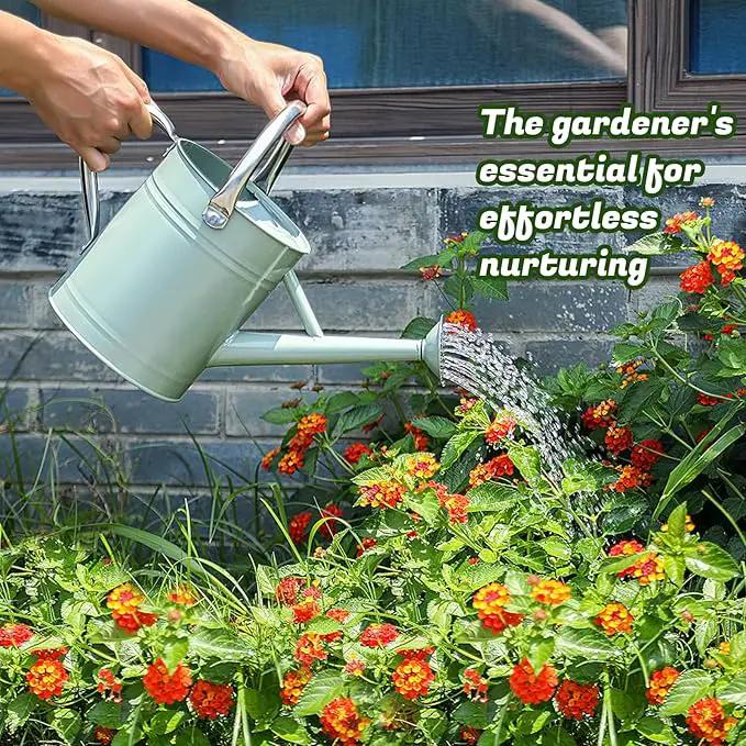 1 Gallon Watering Can for Plants, Watering Cans for Indoor&Outdoor Gardening, Galvanized Steel Watering Pot with Removable Spout, Metal Water Can with Ergonomic Movable Handle(Cream Green) by GreenHaven Gardens