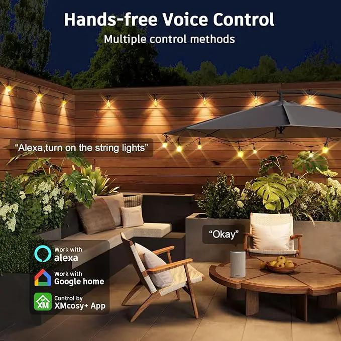 XMCOSY+ Smart Outdoor String Lights - 123ft RGBCWIC Patio Lights with 40 Color Changing Bulbs, LED String Light for Outside Backyard Bistro Party, APP WiFi Control, Work with Alexa, IP65 Waterproof by GreenHaven Gardens