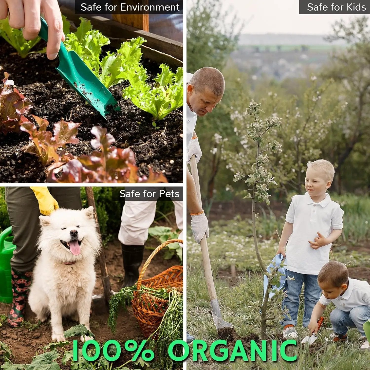 Airthereal Revive Magic Fertilizer Compost Starter, Easy Plant Care Compost Accelerator for Kitchen Composter - Compost Food Waste Quickly and Easily with Low Odor by GreenHaven Gardens