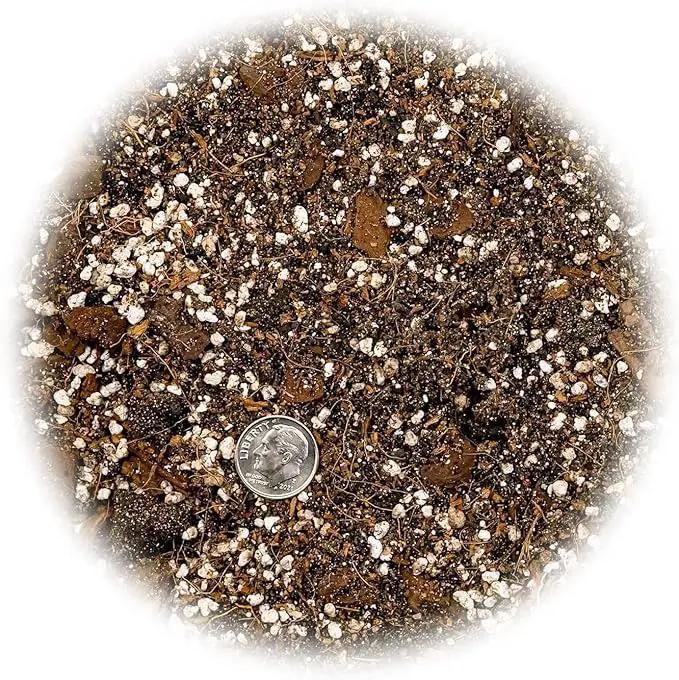 Premium Spider Plant Potting Soil Mix - (3 Quart Bag) by GreenHaven Gardens