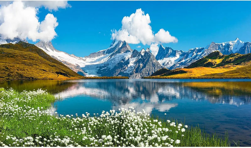 Mountains Lake Aquarium Background Bernese range View Fish Tank Background Switzerland Alps Grindelwald Valley Lake Terrarium Background Fantastic Natural Landscape Aquarium Fish Tank Decors 30x12in by GreenHaven Gardens