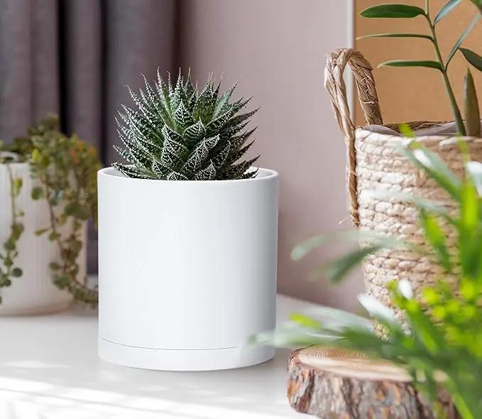 D'vine Dev 2 Pack 4 Inch Modern Plastic Plant Pots, Small Garden Planters for Plant with Drainage Holes and Saucers, White Color, 74-Z-E-1 by GreenHaven Gardens
