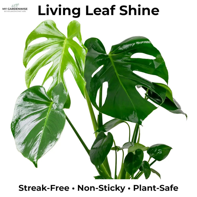 Leaf Shine Spray for Indoor Plants – Plant Leaf Cleaner & Shine for Real House Plants – Fragrance-Free, Non-Sticky, Streak-Free Finish, 16 fl oz by GreenHaven Gardens