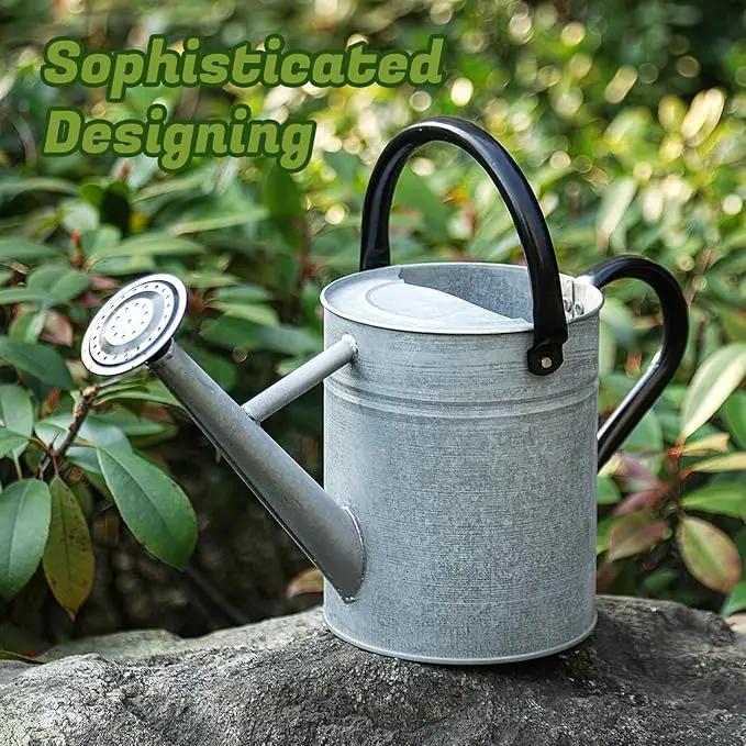 1 Gallon Watering Can for Plants, Watering Cans for Indoor&Outdoor Gardening, Galvanized Steel Watering Pot with Removable Spout, Metal Water Can with Ergonomic Movable Handle(Rustic Silver) by GreenHaven Gardens