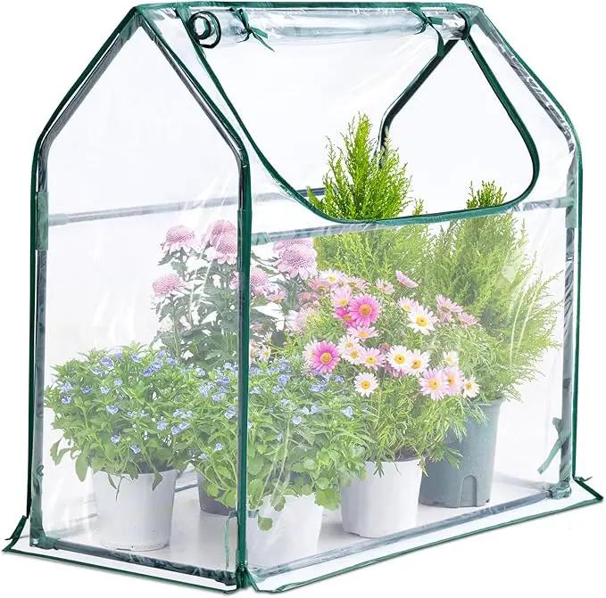 Quictent Portable Mini Cloche Greenhouse w/ Elevated Bottom, Reinforced High Light Transmission Waterproof UV-Resistant Hot House for Indoor Outdoor, 36" x 18" x 33", Clear by GreenHaven Gardens
