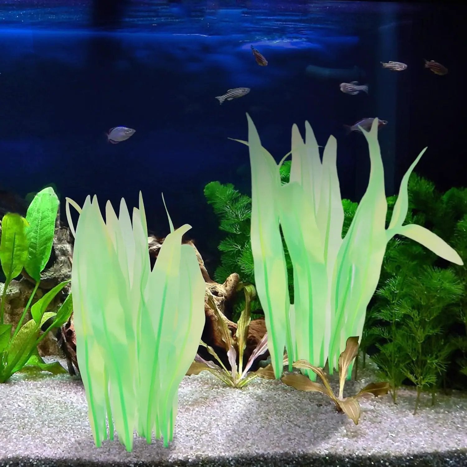Kaiyuan Dynasty 2pc Artificial Fish Tank Plants Aquarium Decoration Plants Silicone Glowing Kelp Ornament Fish Tank Decor Aquarium Plant Aquatic Water Grass,7inch,Green by GreenHaven Gardens