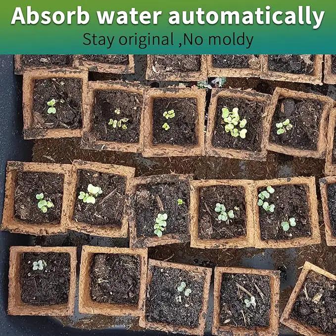 TCBWFY Biodegradable Seedling Trays, 20 Pack, 320 Cells, Ideal for Indoor and Outdoor Planting, Mint, Lavender, Rose by GreenHaven Gardens