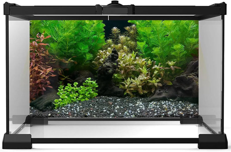 Aquarium Background Exquisite Underwater Grass Leaves with Pebbles Aquarium Backdrop Vivid Green Aquatic Plant Stone with Dead Woods and Fresh Leaves Fish Tank Wallpaper 36x24in by GreenHaven Gardens