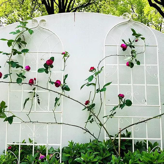 Metal Garden Trellis Rustproof Trellis for Climbing Plants Outdoor Flower Support Butterfly Deco (Cream White-4 Pack, 71"x19.7") by GreenHaven Gardens