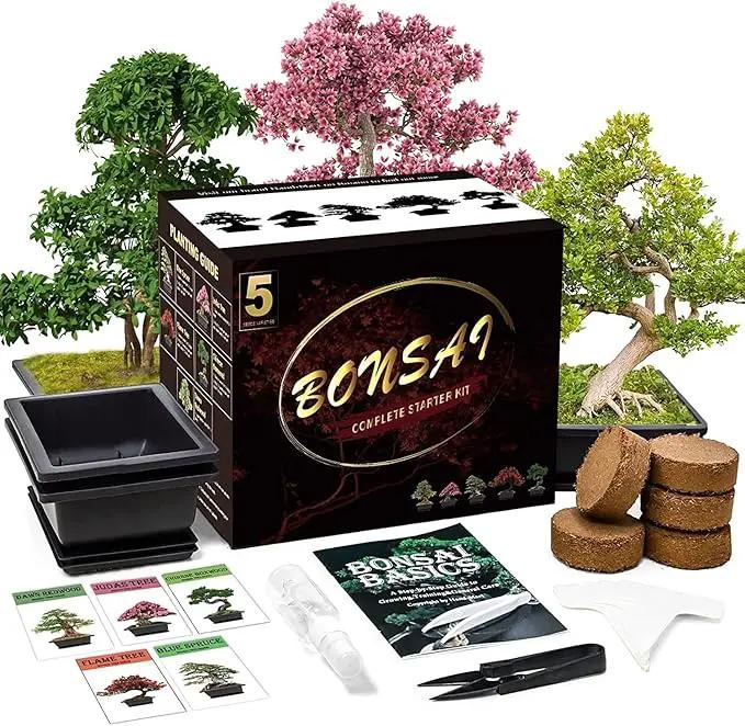 Bonsai Tree Kit with Complete Plant Growing Tools, Grow in Pot Indoor Bonsai Tree Starter Kit, Home Gardening DIY Gift for Adult by GreenHaven Gardens