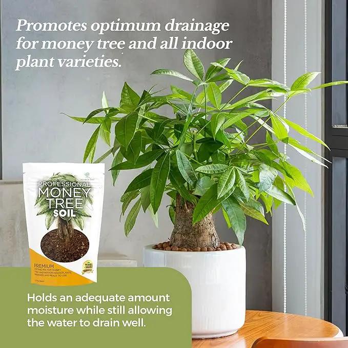 Professional Money Tree Soil | Large 2.2 Quarts Ready to Use for Money Tree Plants | Peat Moss, Coco Coir, Perlite, Dolomite | Made in USA by GreenHaven Gardens