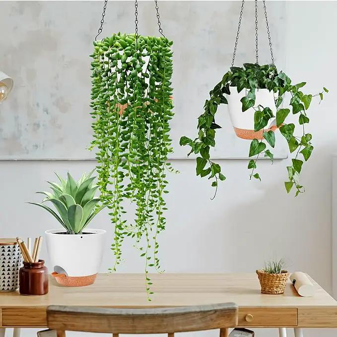 GARDIFE Hanging Planter, 8 inch Hanging planters for Indoor. Outdoor Plants, Self Watering Plant Pot, 2 Pack Large self Watering Hanging Planter (8-White, 8 inch) by GreenHaven Gardens