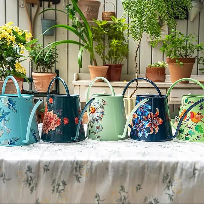 Berry&Bird House Plants Watering Can - Indoor & Outdoor 1/2 Gallon Stainless Steel Water Can with Long Spout Garden Decoration for Flower Bonsai Succulent Gardening Large Watwer Bottle(2L/68oz,Dahlia) by GreenHaven Gardens