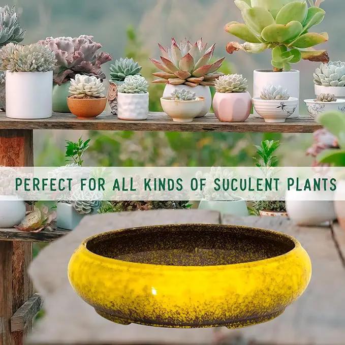 Succulent Pots - 11.5 Inch Ceramic Bonsai Pots with Drainage, Large Shallow Succulent Planters for Indoor Outdoor Plants, Round Glazed Cactus Flower Plant Container Bowl Home Desk Decor(Yellow) by GreenHaven Gardens