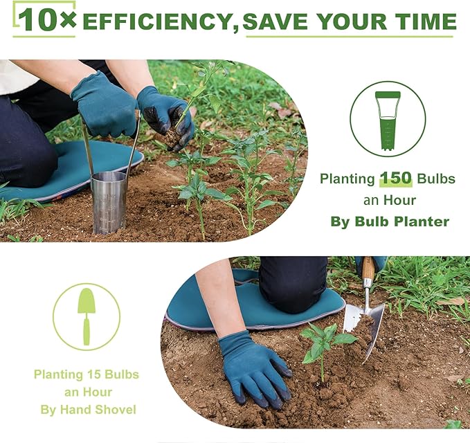 Haliaeetus Bulb Planter Tool, 6 inches Depth Mark Hand Bulb Planter, Non-Bending Stainless Steel Bulb Planter Digger, Garden Bulb Transplanter with Comfortable Wood Handle for Planting Tulip, Daffodil by GreenHaven Gardens