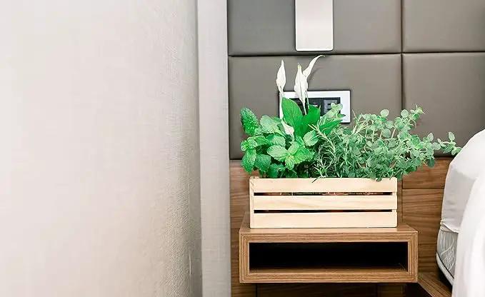 Wood Planter Box with Wine Crate Styled, 12x4 Inch Rectangular, Rose Wood, Plastic Liner, Garden Centerpiece Display, Wedding Flowers Holder, Home and Venue Decor (12x4 Wine Crate Set of 4, Rose Wood) by GreenHaven Gardens