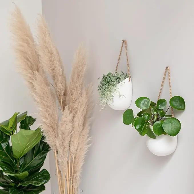 Wall Planters -Ellie- | Hanging Ceramic Plant Pots 2 Pieces | Wall Decoration for Indoors, Balcony and Garden | White (Matte) by GreenHaven Gardens