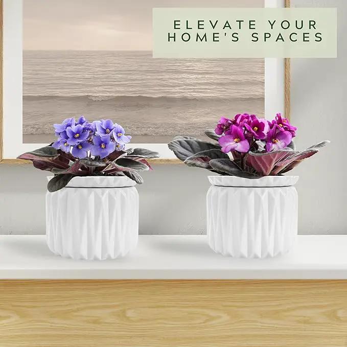 6 inch Self Watering Pot for Indoor Plants, African Violet Pot Ceramic, Flowers Planter (4 inch Opening), Holds 3 Weeks of Water (1 Pack) by GreenHaven Gardens