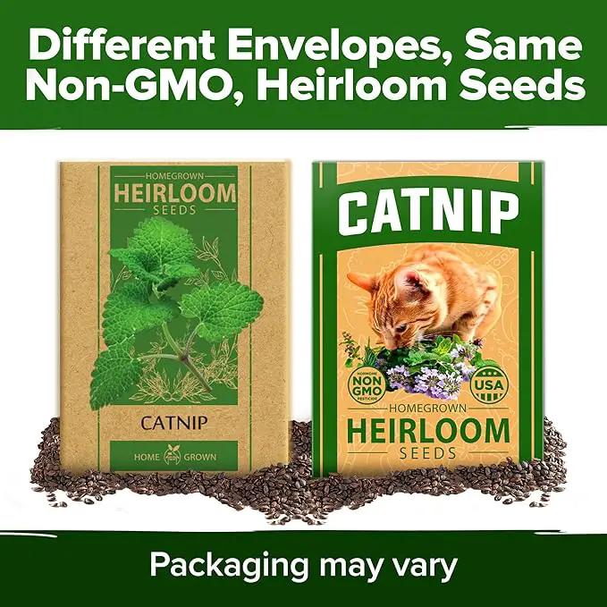 HOME GROWN Catnip Seeds (2 Pack) 𝗡𝗢𝗡-𝗚𝗠𝗢, 𝗨𝗦𝗔-𝗦𝗢𝗨𝗥𝗖𝗘𝗗 Heirloom Herb 4232 Seeds - Indoor or Outdoor Seed - High-Germination Cat Nip - Cat Safe Plants (Nepeta cataria) by GreenHaven Gardens