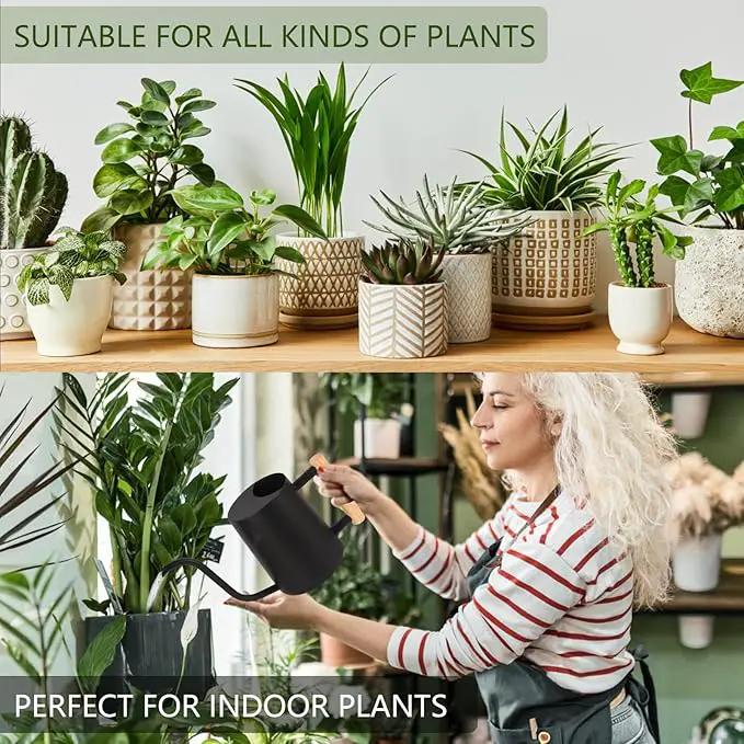Plant Watering Can,35oz Metal Watering Can,Stainless Steel Watering Can Indoor Plants with Long Curved Spout,Small Watering Can for Indoor Plants,Bonsai Outdoor Garden Modern Decorative(Black) by GreenHaven Gardens